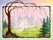 Card #19